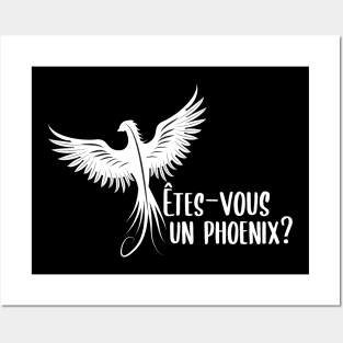 Êtes-vous un Phoenix? Posters and Art